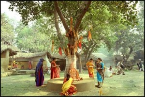 Fascinating Facts of Arasa Maram The King Of Trees | stoɾiesoftm