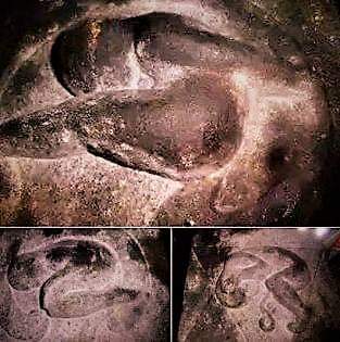 whatsapp image 2019-01-17 at 10.53.03 pm (2)