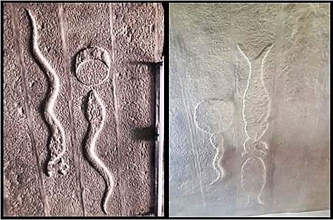 whatsapp image 2019-01-17 at 10.53.03 pm