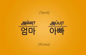 WhatsApp Image 2020-04-30 at 5.31.35 PM (1)